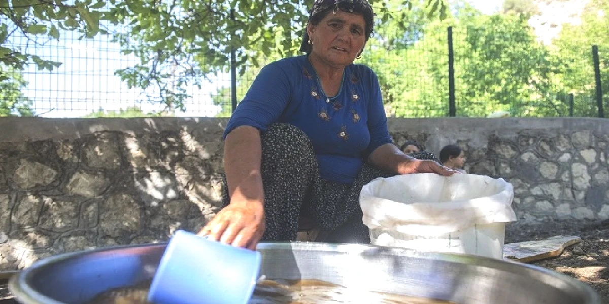 dut-pekmezi-yapimi.jpg