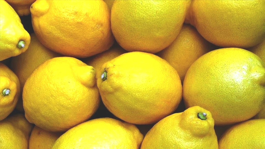 Bakanlık harekete geçti! Limon ve elma fiyatları için hamle 2