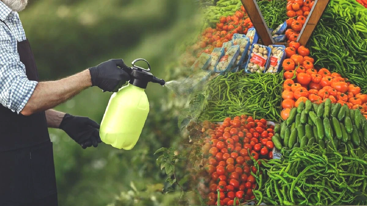 Her gün tüketiyoruz, meğer en temiz onlarmış! Pestisit zehrinden uzak sebze ve meyveler: Bu 4'ü